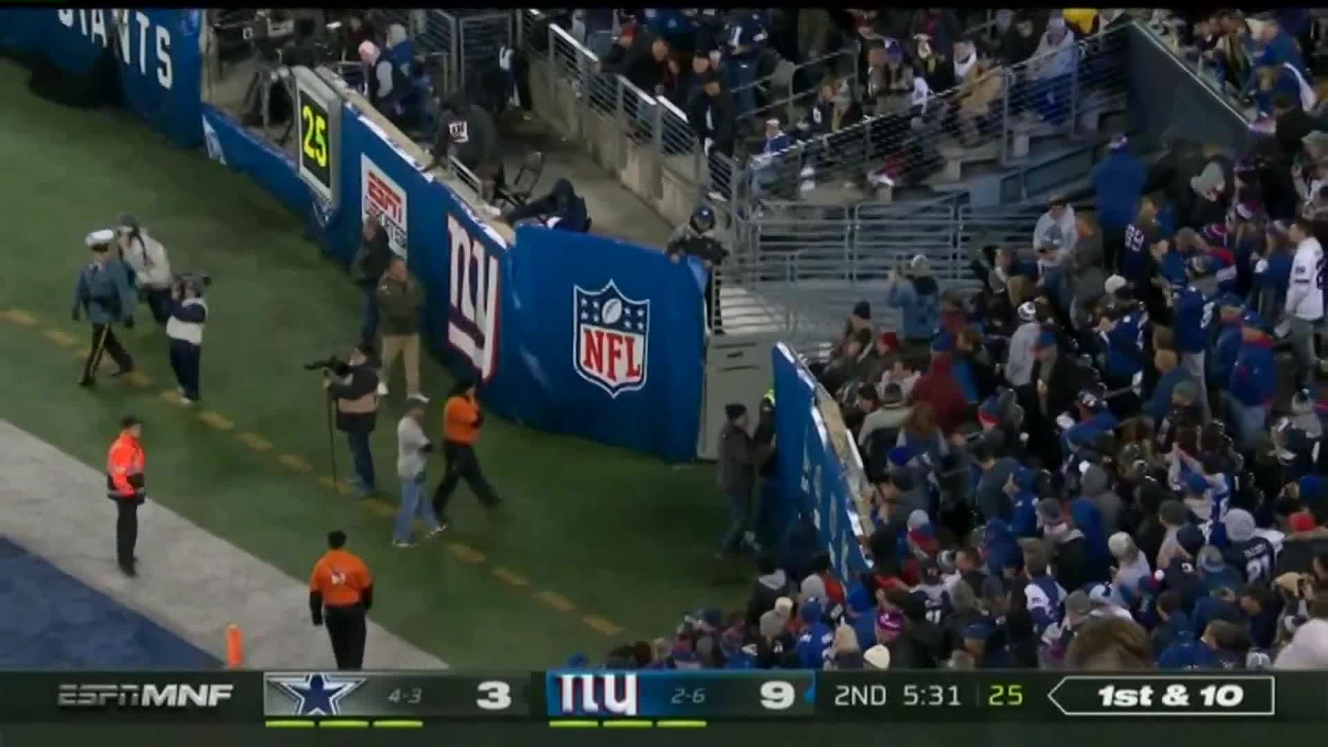 Black cat halted the Cowboys-Giants NFL game with a furry touchdown