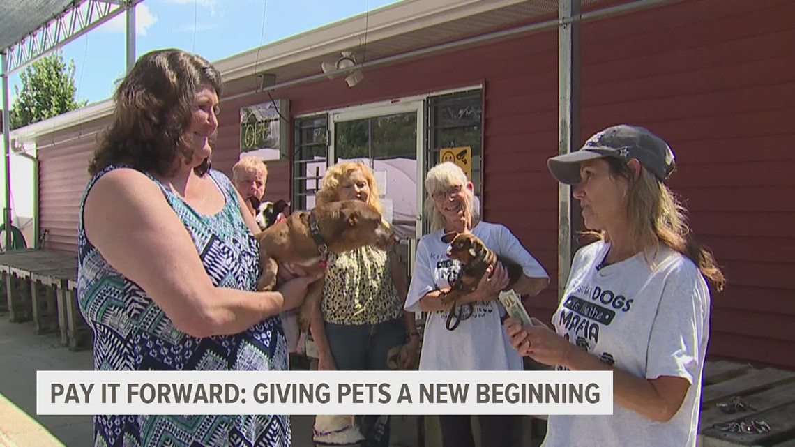 Pay It Forward | Giving pets a new beginning