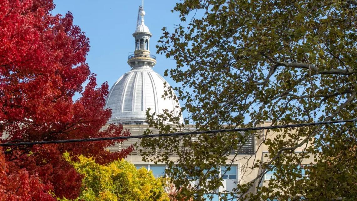 Report: Trump cuts could shrink Illinois economy by $10B