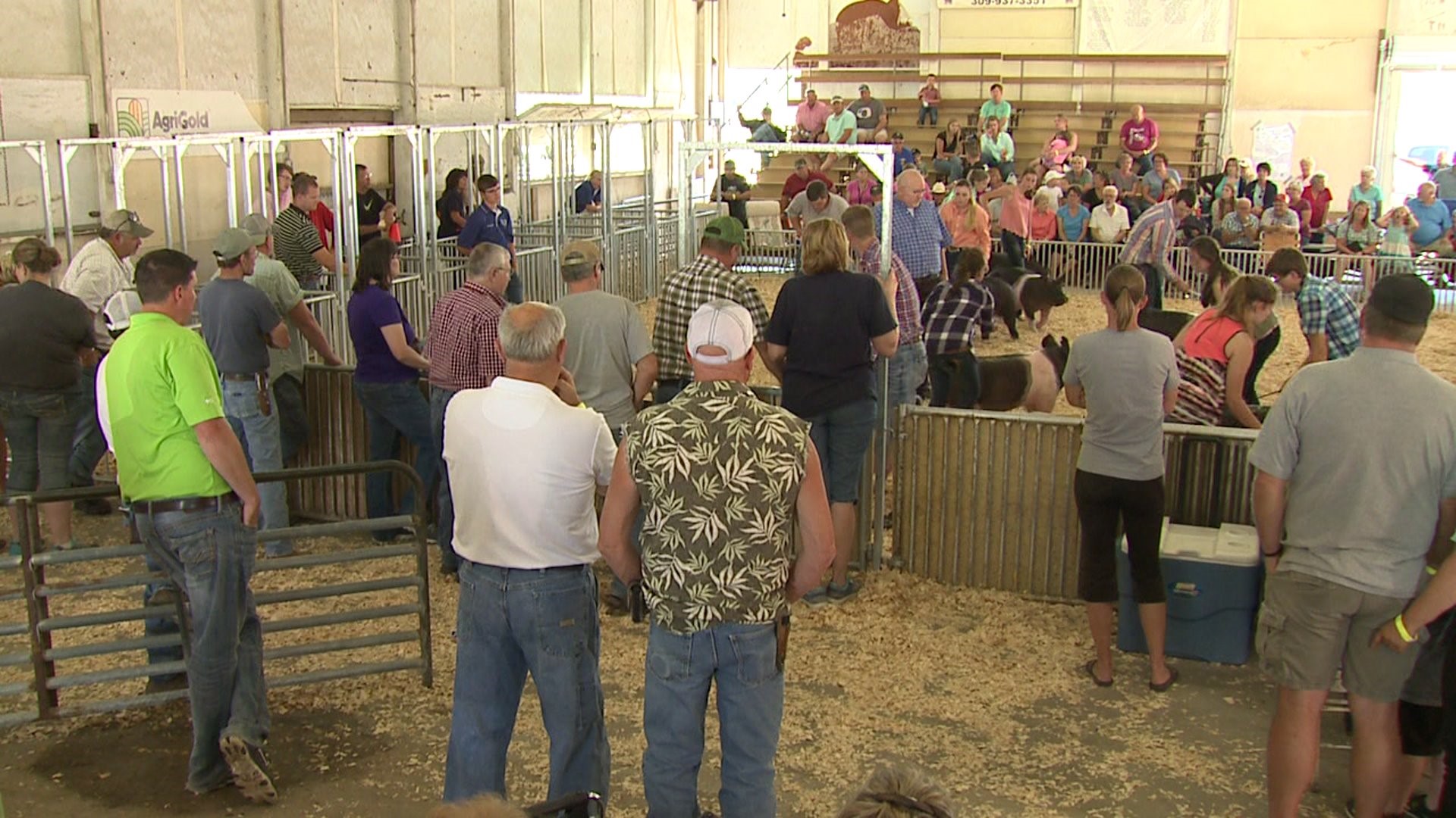 Henry County Fair continues despite state budget battle