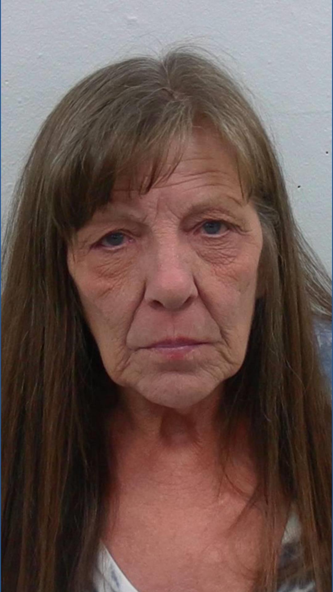 Woman sentenced to 14 days in jail for 2024 Galesburg fatal hit-and-run ...