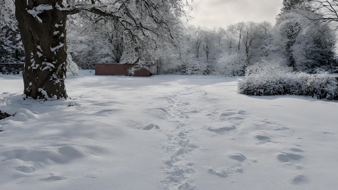 How the ground can remain unfrozen during the cold winter months