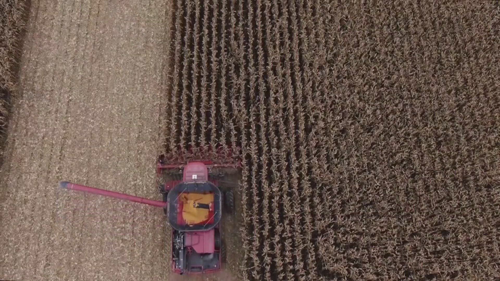 wqad.com - Haley Marzorati - Iowa Secretary of Agriculture to introduce first Iowa Farm Act