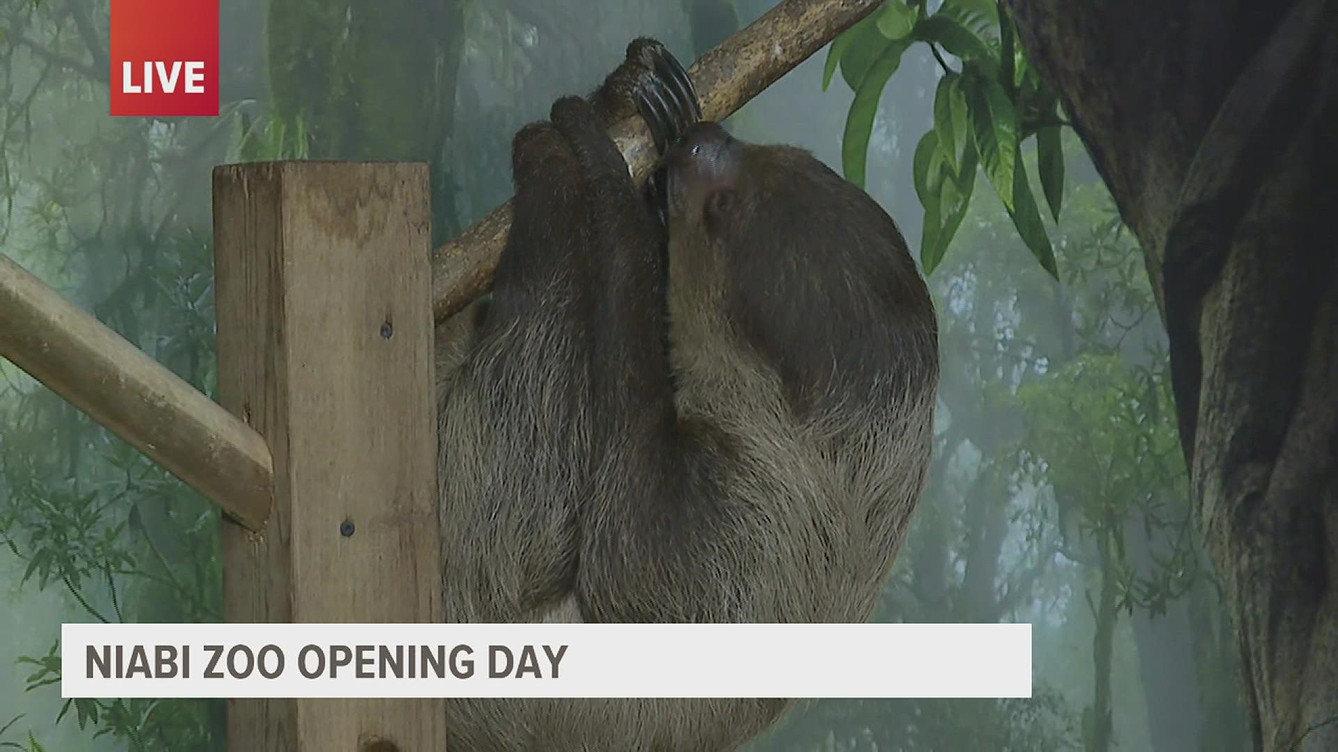 Zookeeper Leanne Parker appeared live on Good Morning Quad Cities to tell us all about Niabi Zoo's 2022 Animal Encounters