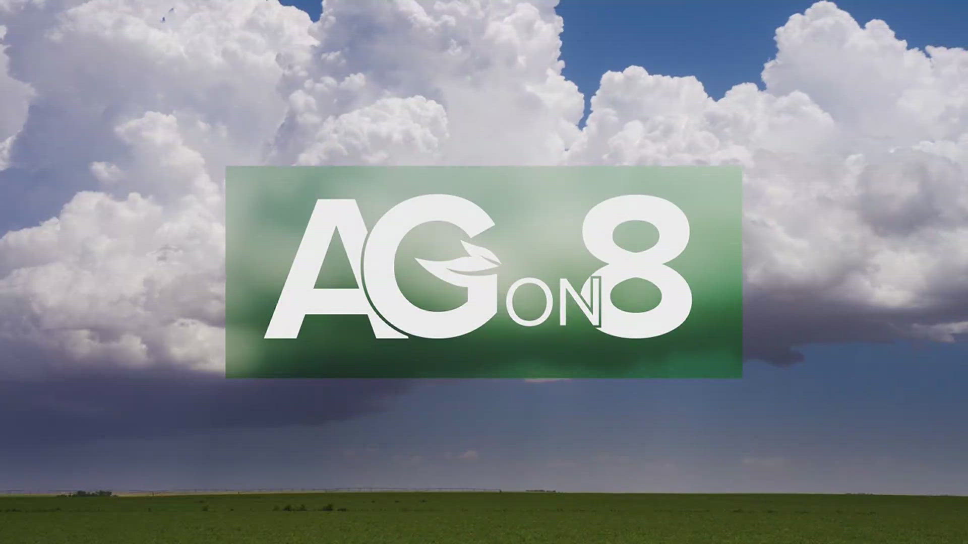 Our weekly agriculture segment compiled by News 8's Haley Bickelhaupt!
