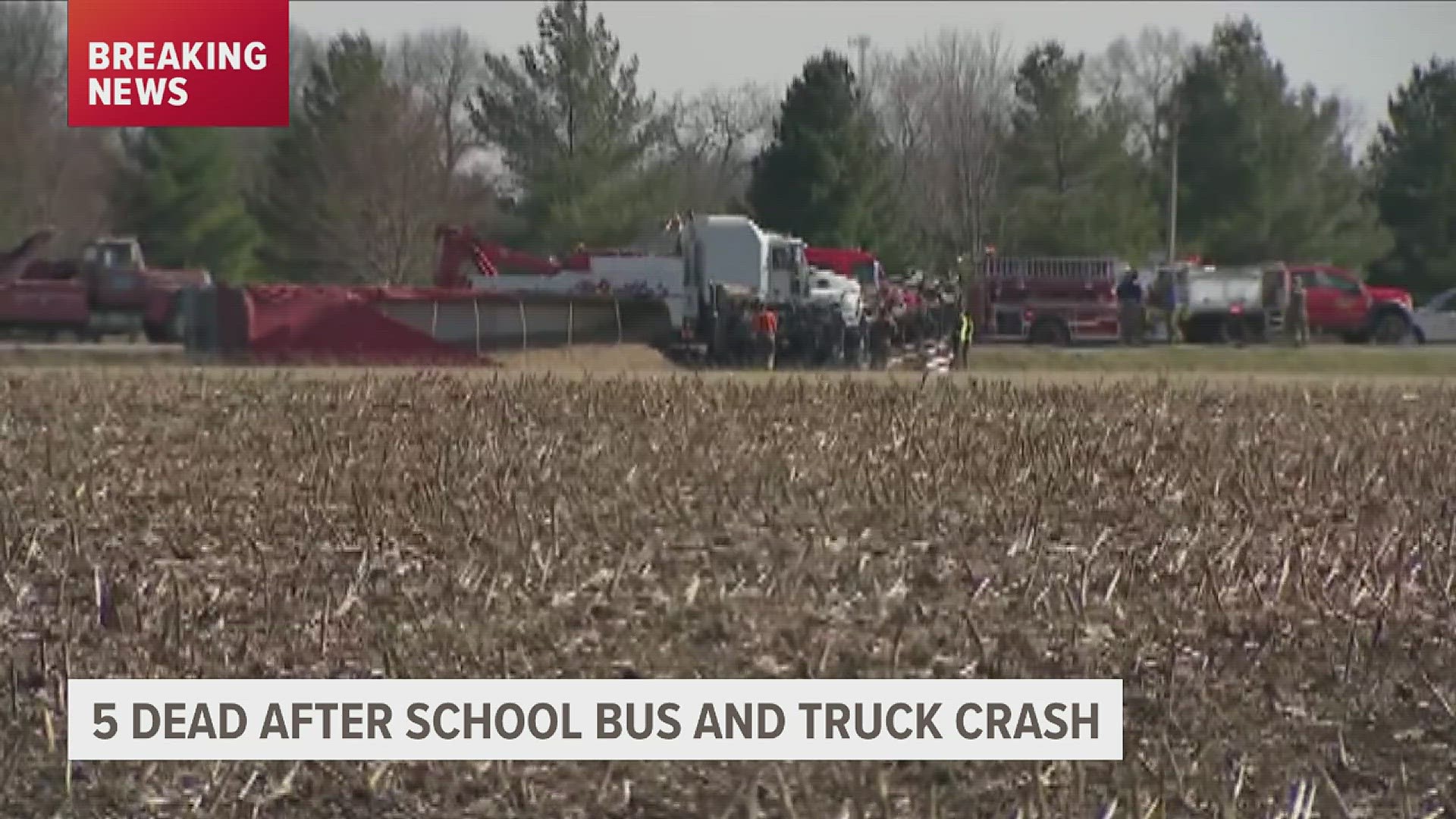 Five people are dead, including three children, after a school bus and semi-truck collided in Rushville.