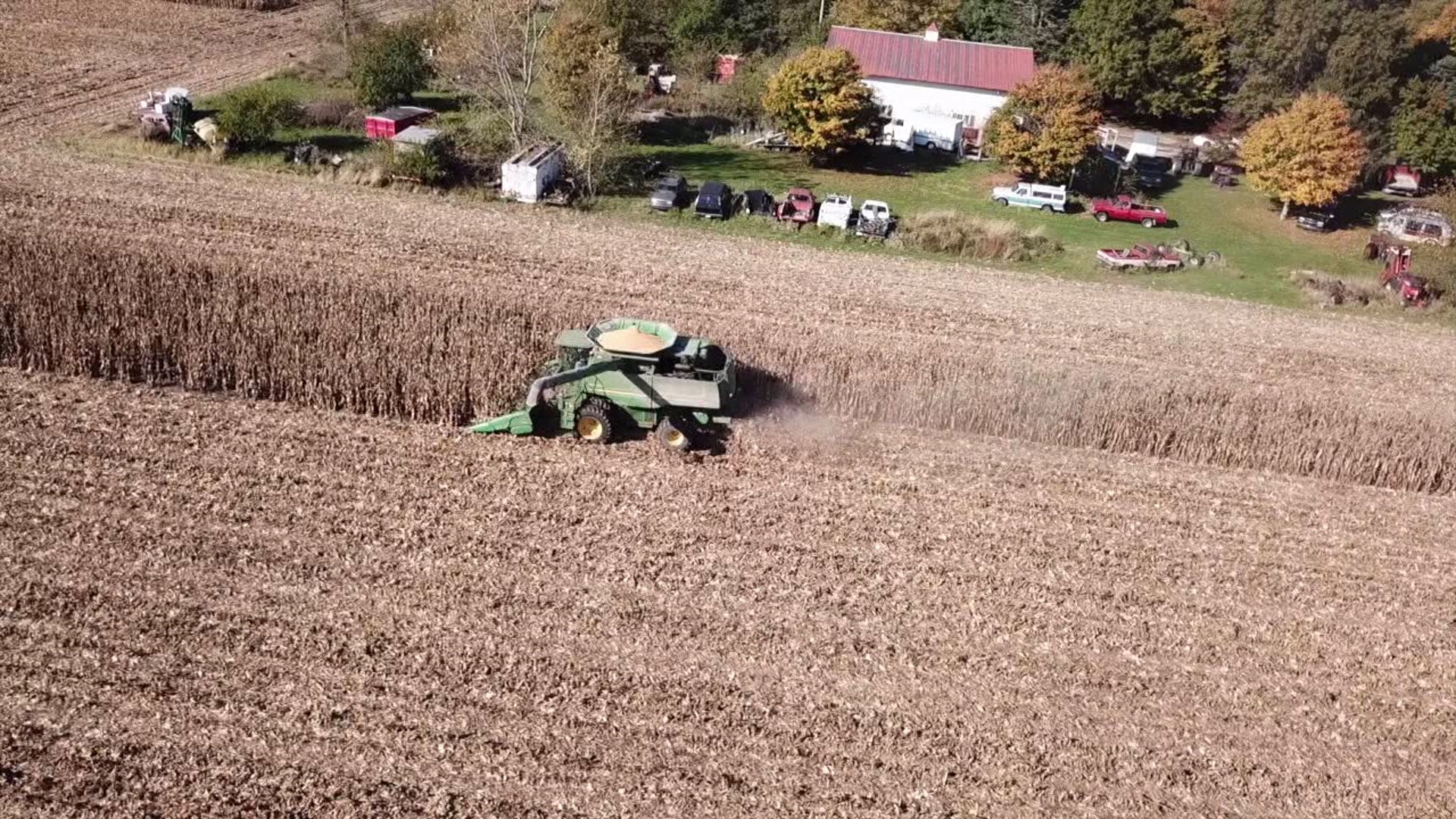 Farmers help neighbor bring in crop