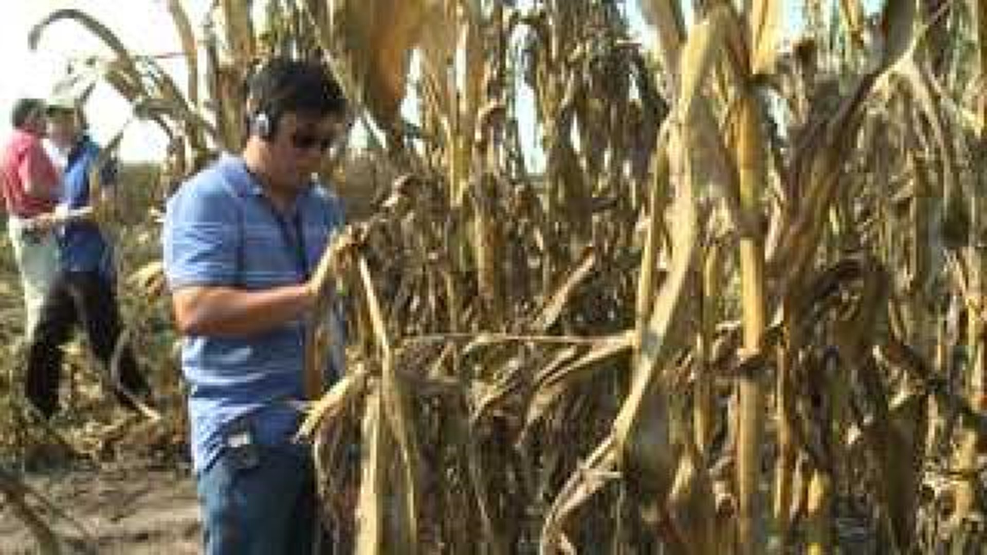 Brazillian farmers tour drought-stricken farm