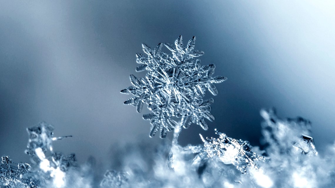 what-are-the-most-common-shapes-snowflakes-can-form-wqad