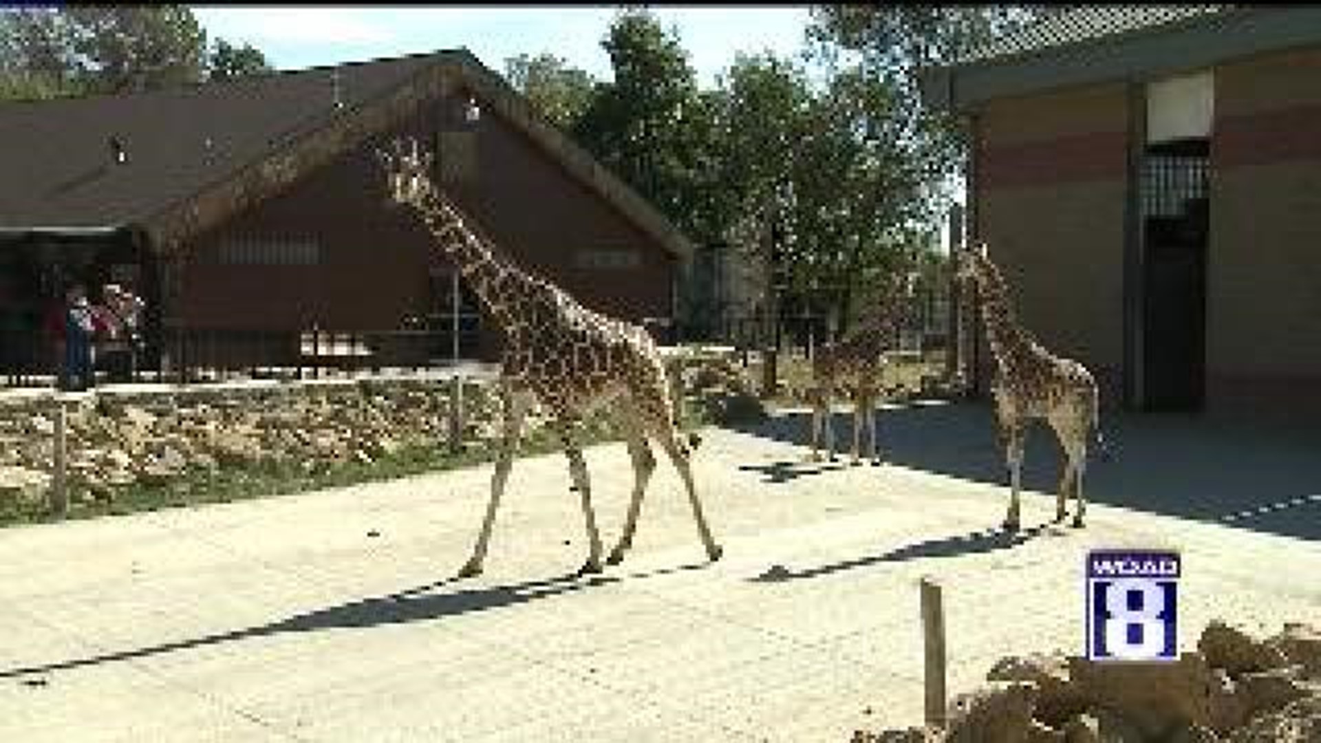 Niabi Zoo recruits Junior Zookeepers