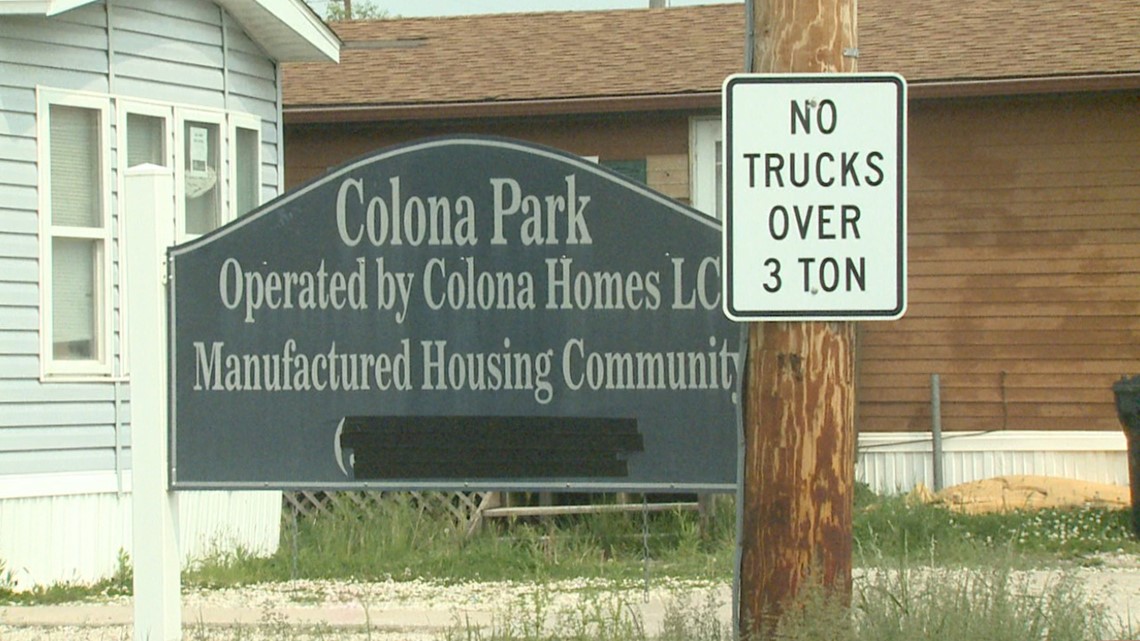 Cat-killer in Colona has residents worried - Vimarsana News