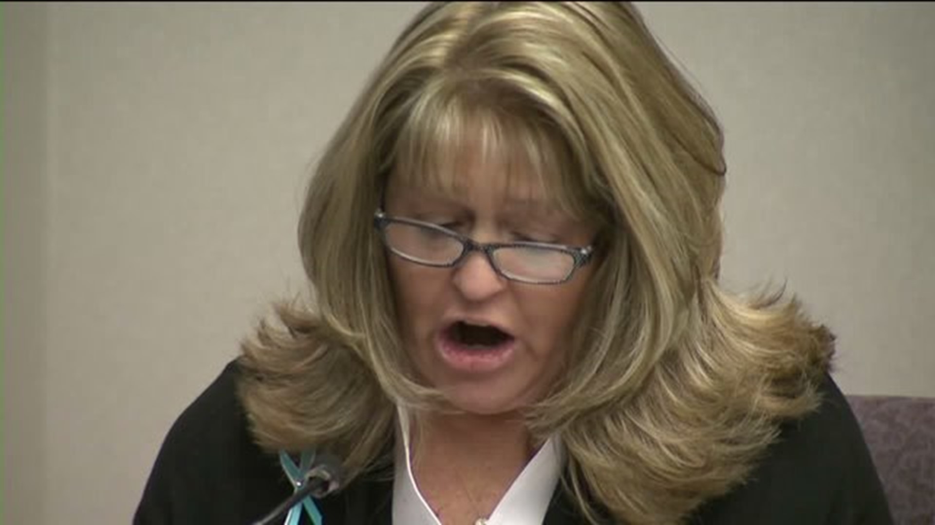 Karen Olson gives victim impact statement at Tim McVay sentencing 10-9-15