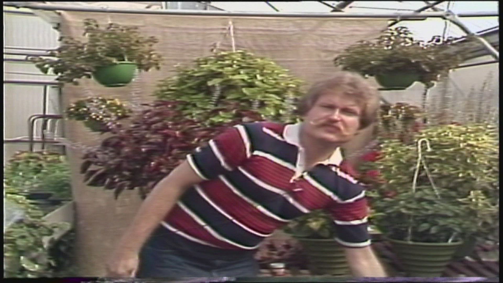 Some things change, but the moustache stays the same: News 8 plants and garden expert Craig Hignight shares timeless tips from the greenhouse in 1979.
