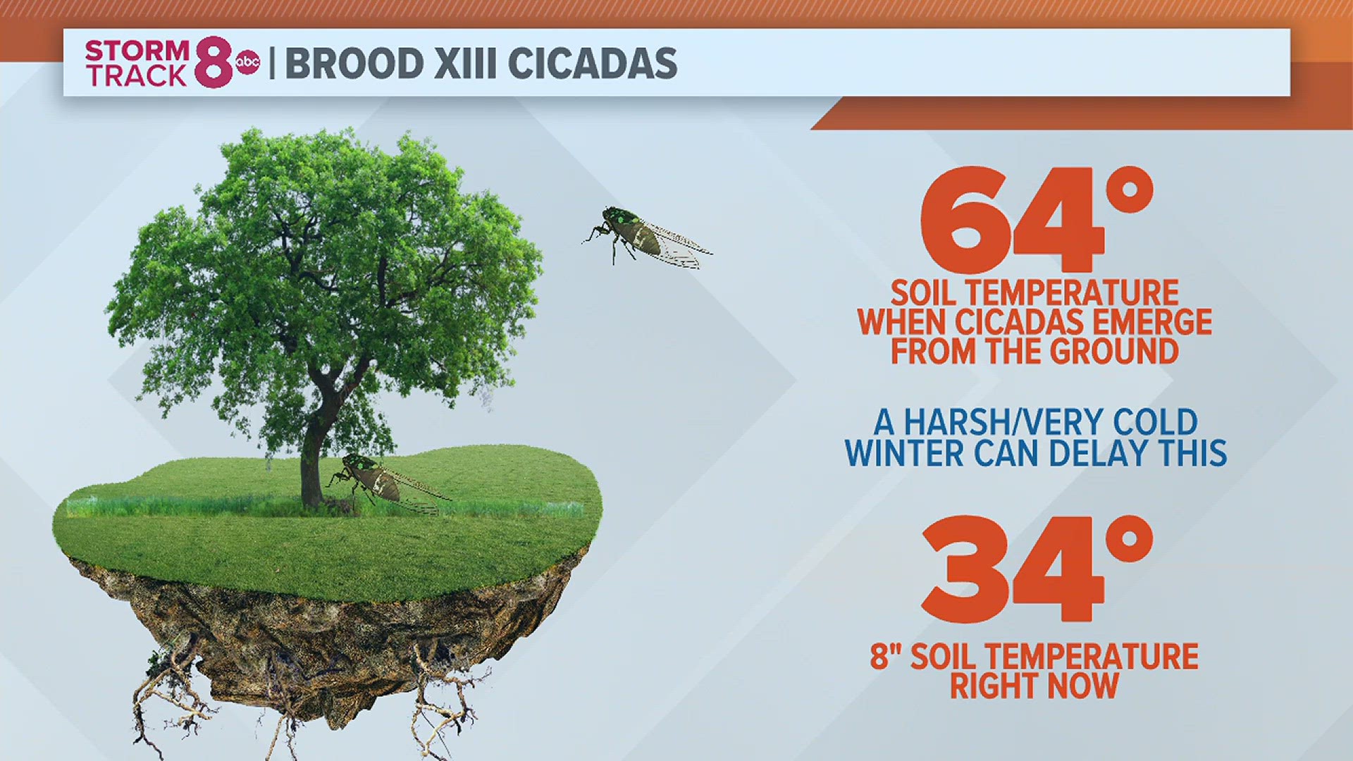 Meteorologist Andrew Stutzke explains how this winter will impact the upcoming cicada brood hatch later this spring.