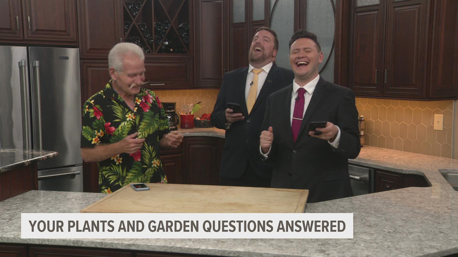 Craig takes questions on lilac trees, creeping Charlie, Christmas cactus, peace lilies and more