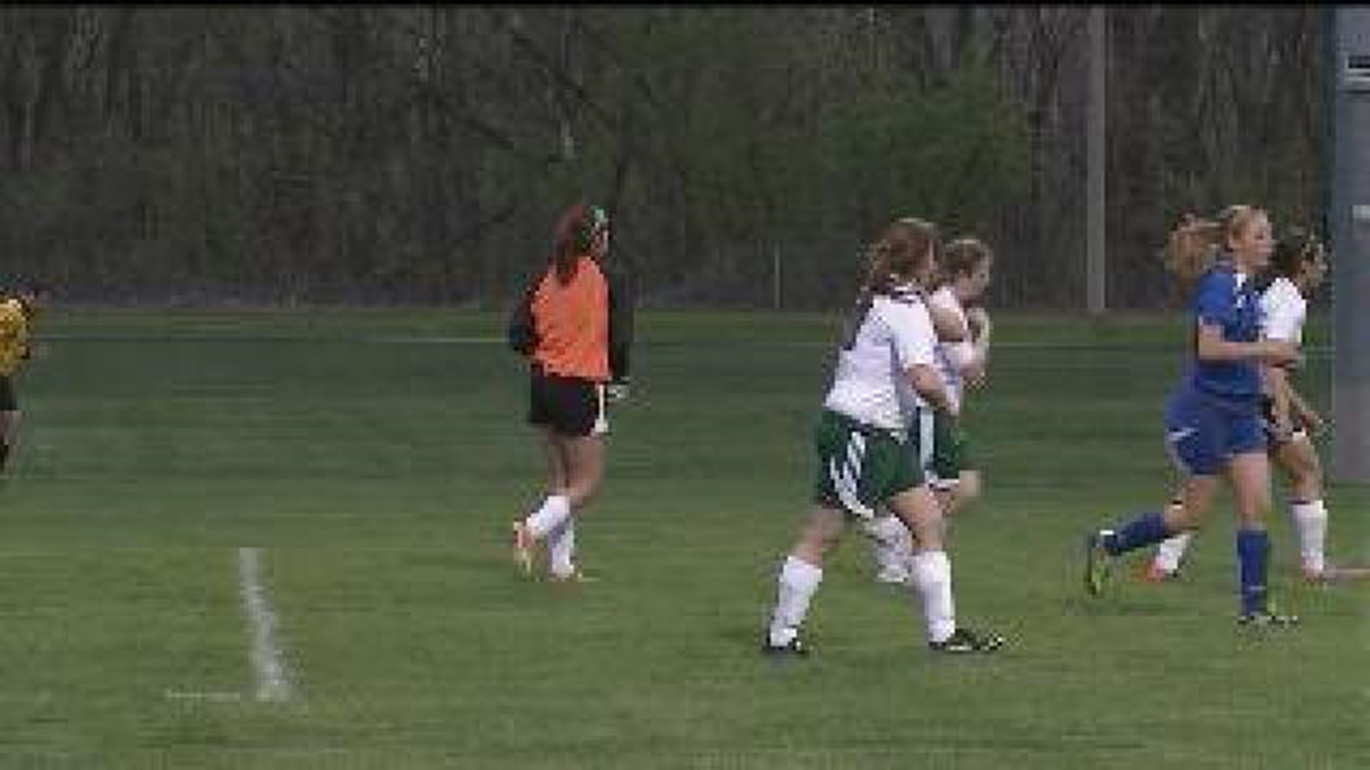 Princeton Over Alleman In girls Soccer