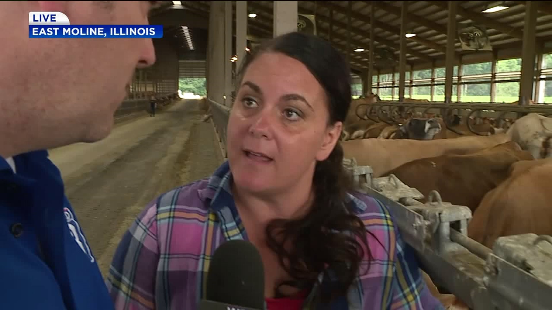 Breakfast With... Bohnert Family Dairy Farm and How It Got Started