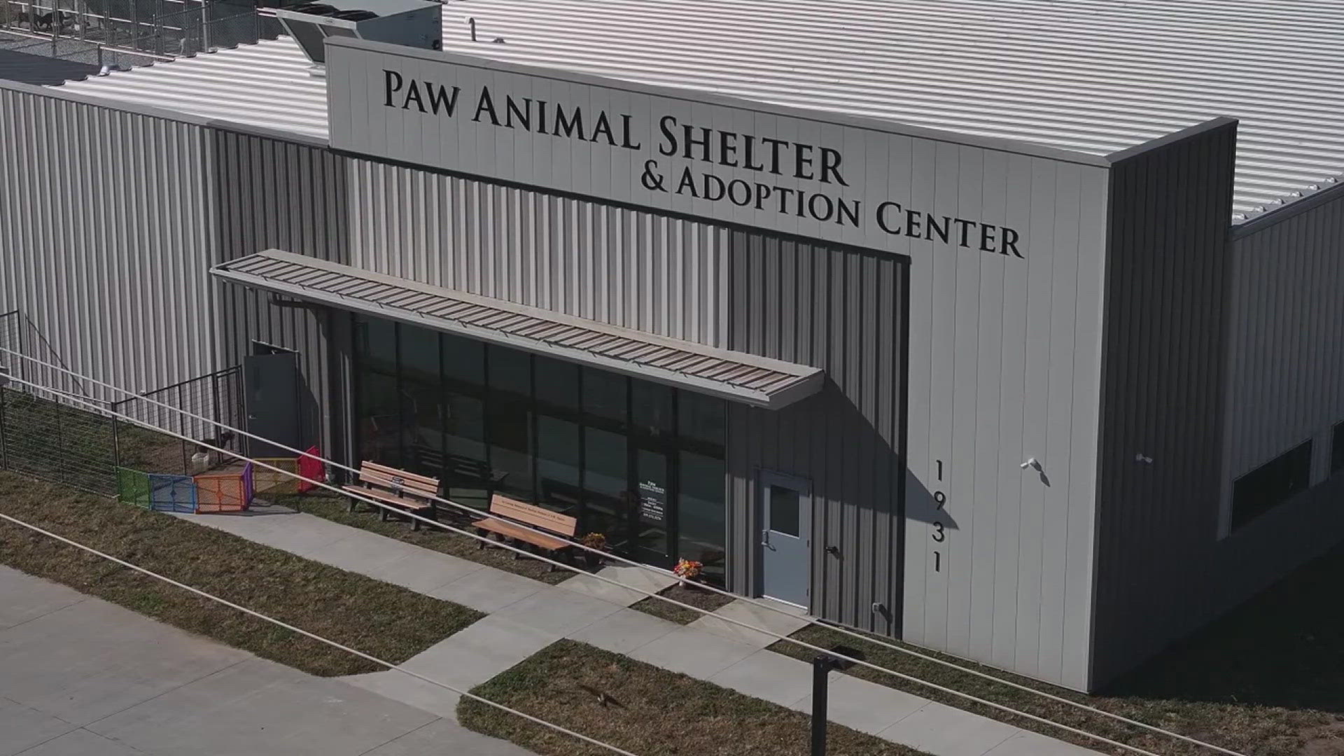 PAW Animal Shelter recently moved into a brand-new building after outgrowing its previous facility.