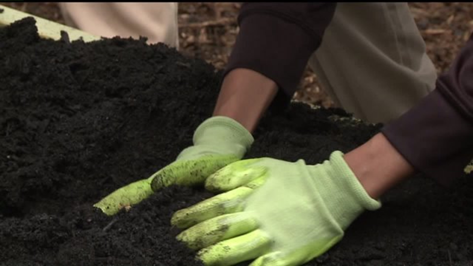 AmeriCorps teach local 3rd graders how to plant their own food