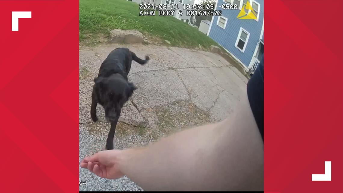 Police officer shoots dog in Davenport, Iowa