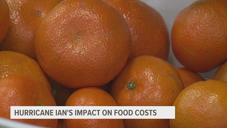 Hurricane Ian's impact on food costs: Citrus, tomatoes, peppers could see price hike