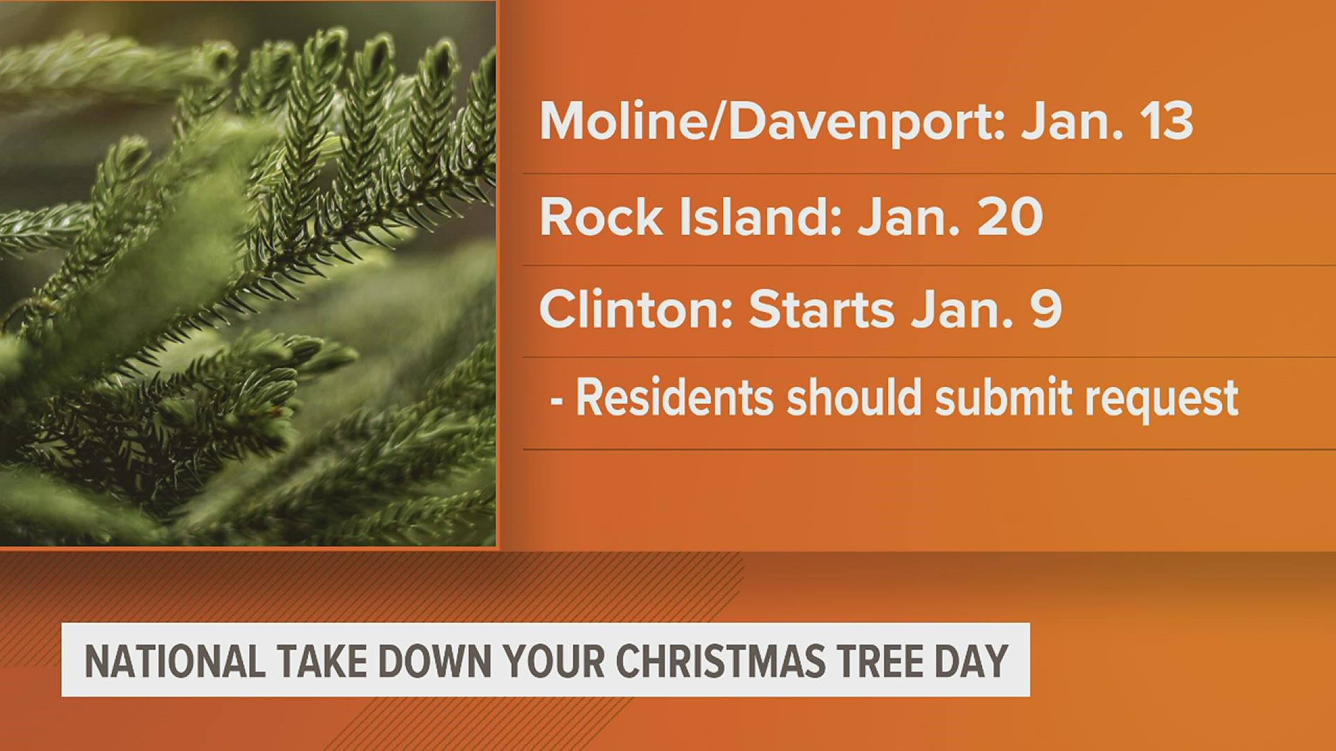 National Take Down the Tree Day