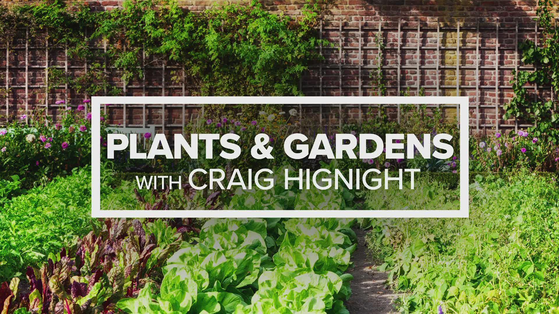 Craig Hignight answers your Plants & Gardens questions every Wednesday during Good Morning Quad Cities at 11 a.m.