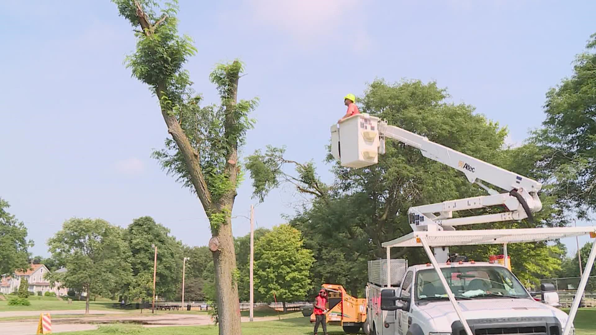 The derecho damage out Moline public works behind on tree removals.