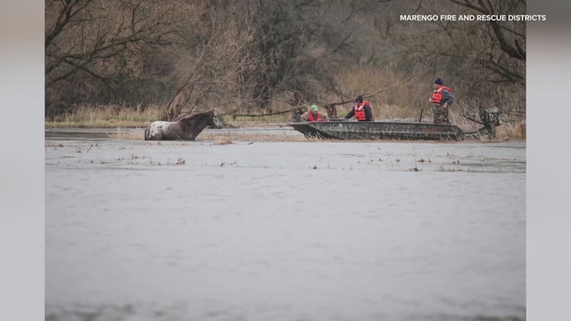 Illinois horse rescued from freezing flood