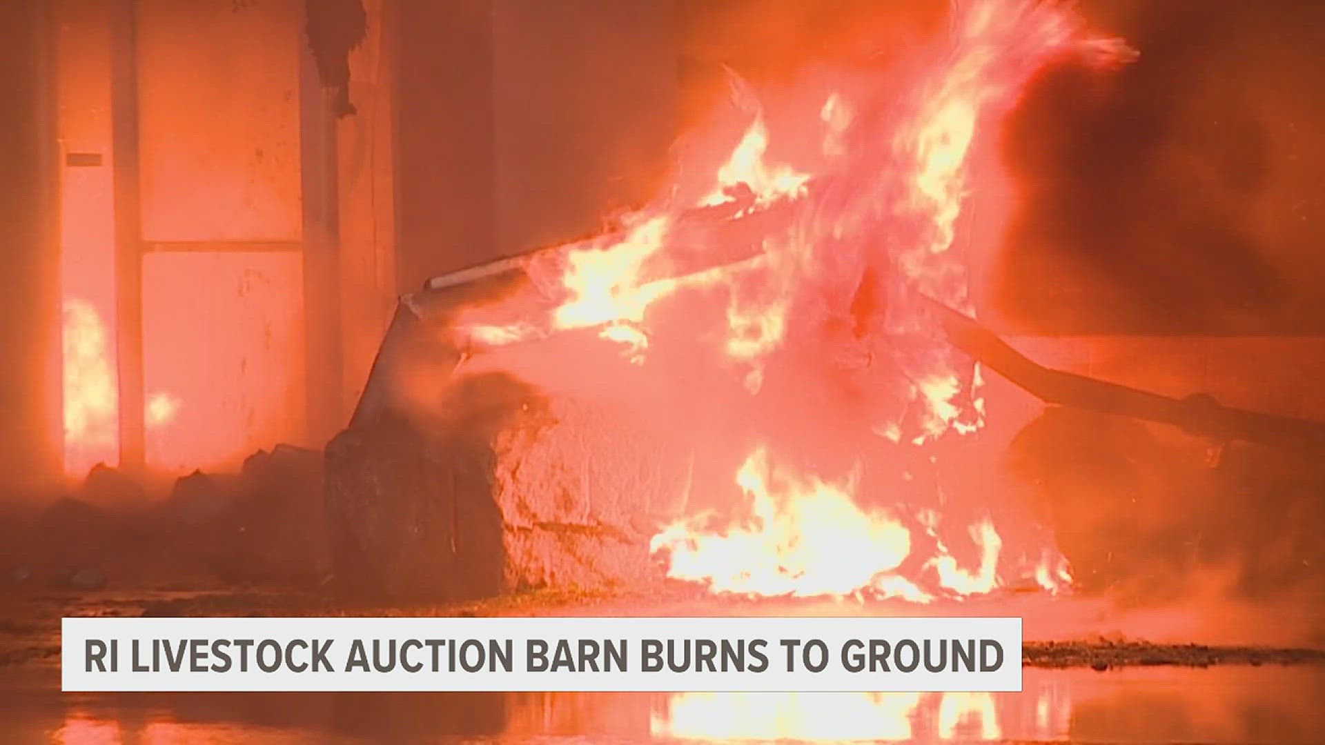 22 cattle were rescued from the blaze. One died, and one is still loose in Rock Island.