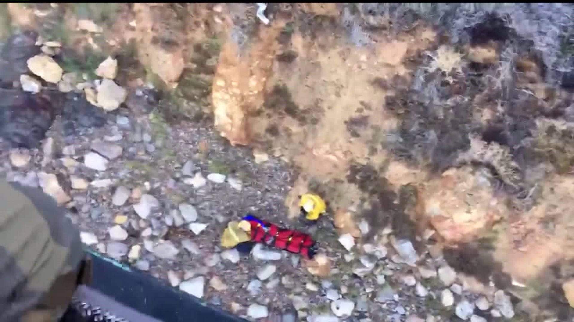 A woman fell off a 200-foot cliff in Southern California. Her cries for help may have saved her
