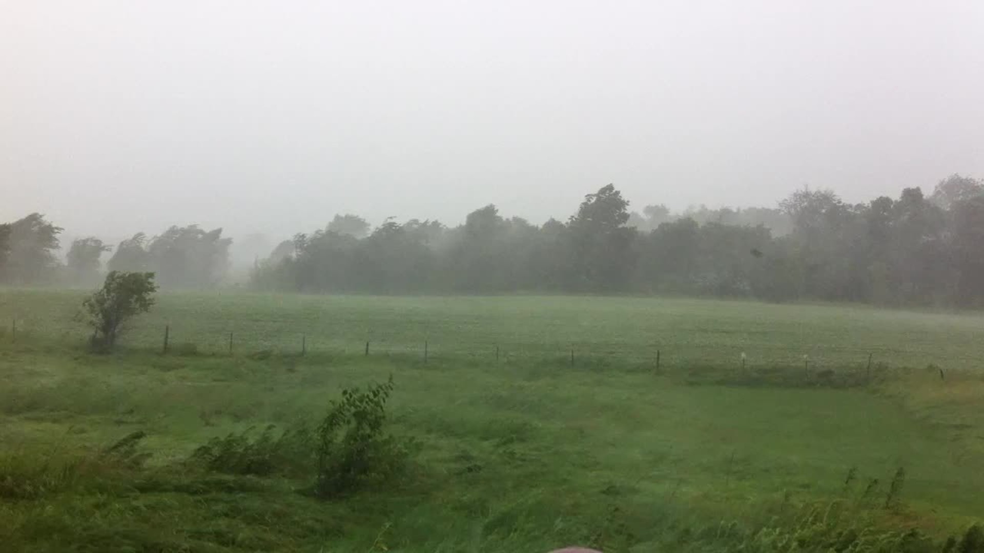 Heavy rain and wind with 6-24-13 storms video from Lori Barkley via WQAD iPhone app