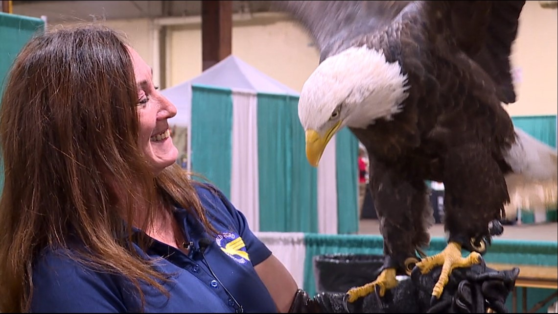 Bald Eagle Days return to the QCCA Expo Center for 2023 | wqad.com