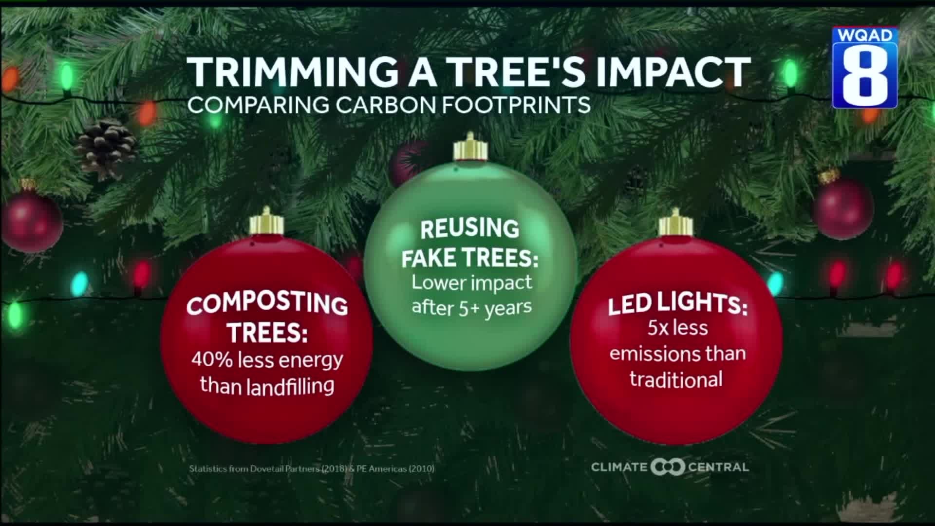 Eric talks about the science of Christmas Trees