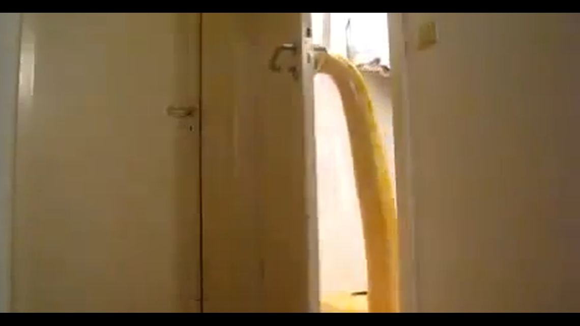 Viral Video Snake opens door
