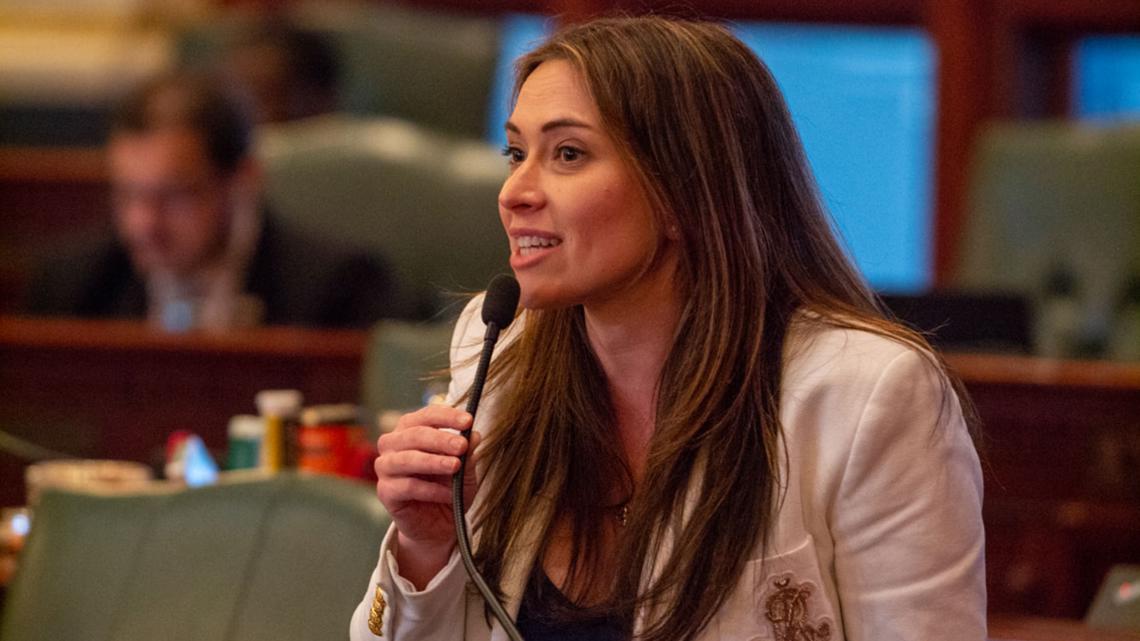 Croke leads Democratic comptroller race as downstate voters dominate ...