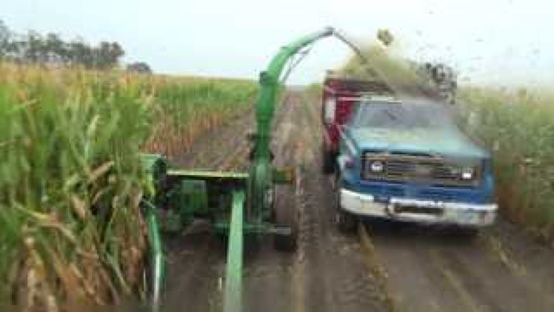 Clinton County harvest reflects 2012 drought