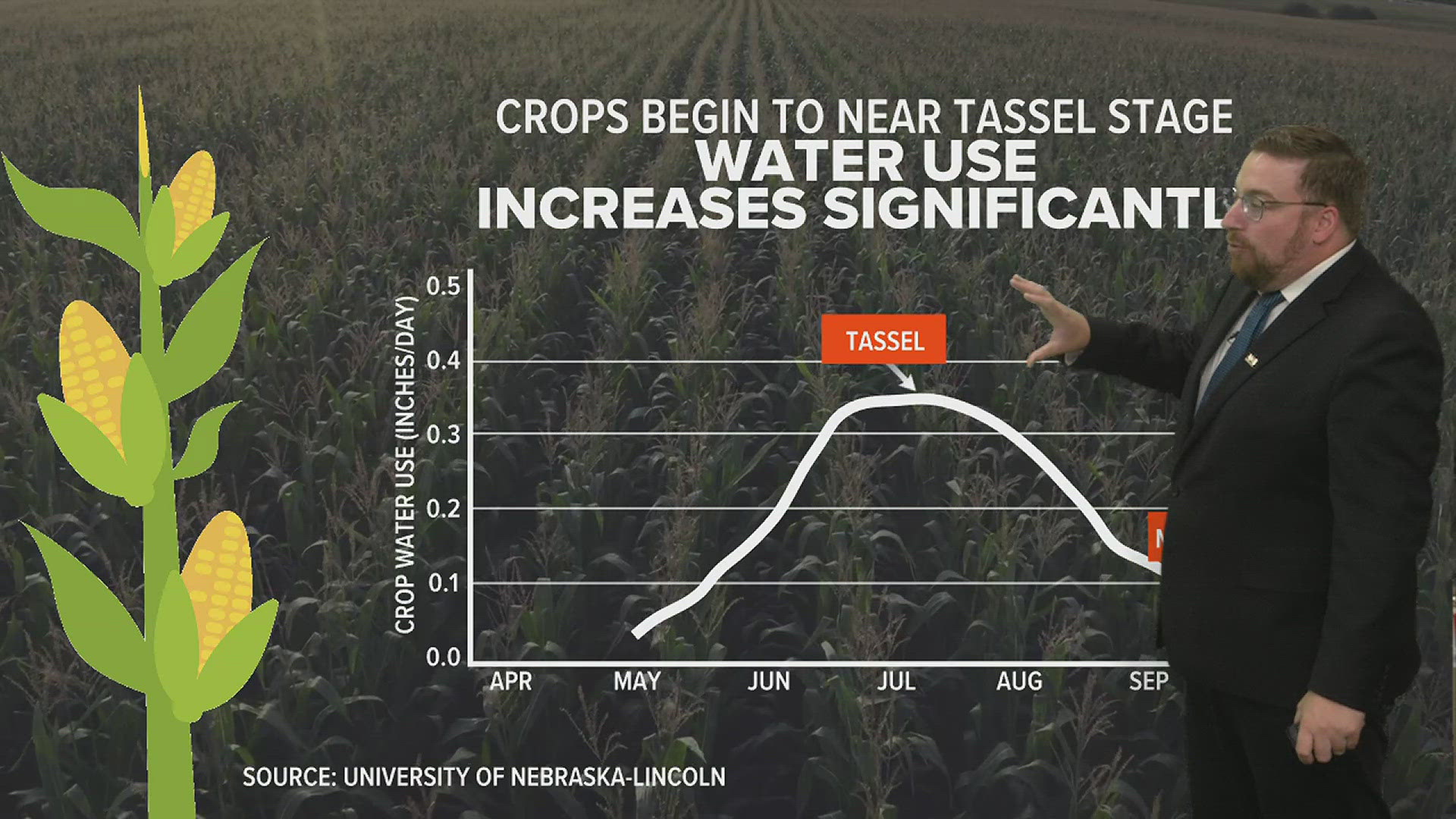 Corn sweat typically peaks during the month of July, here's why it makes the air feel hotter.