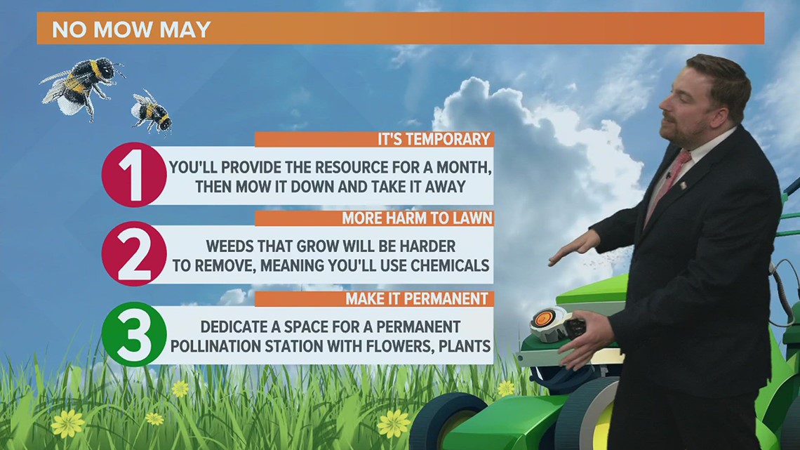 Ask Andrew: Is 'No Mow May' really worth it?