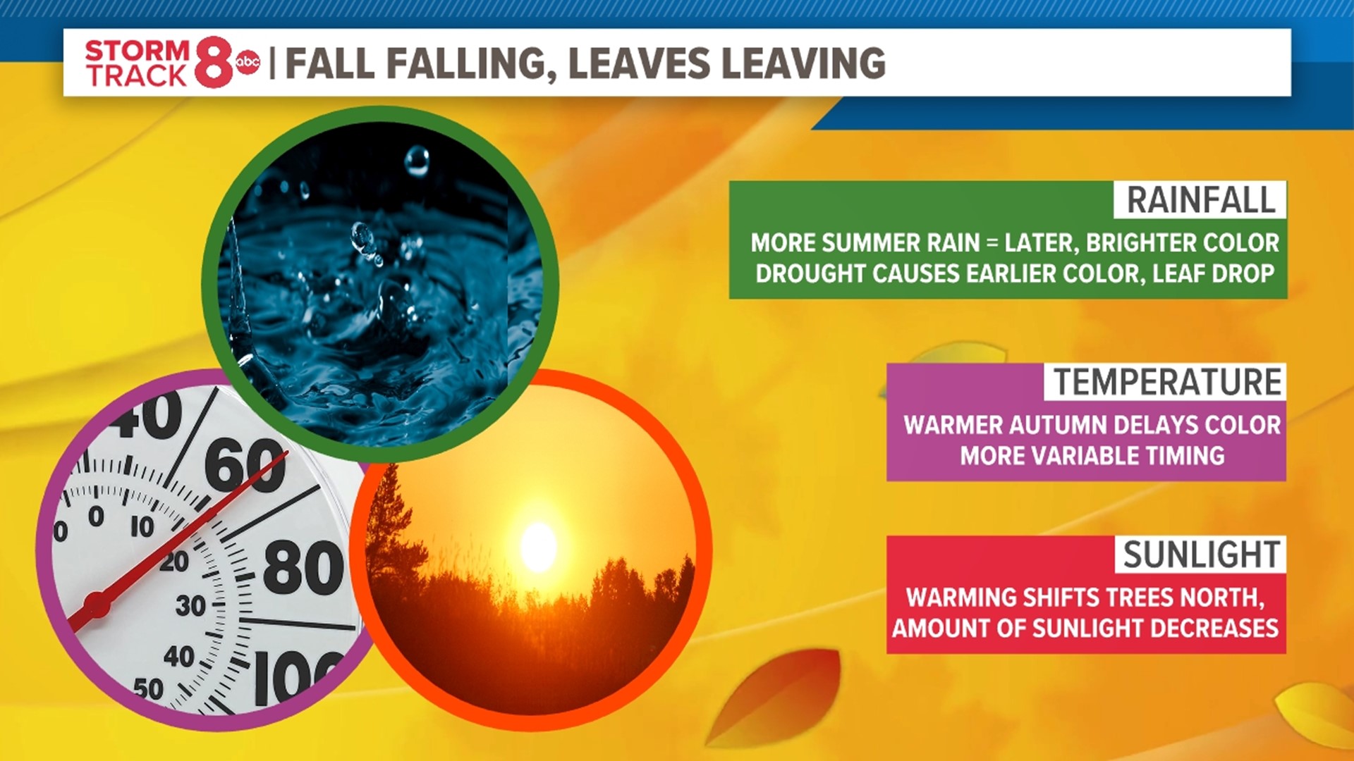 Climate change impacting fall color in the Quad Cities | wqad.com