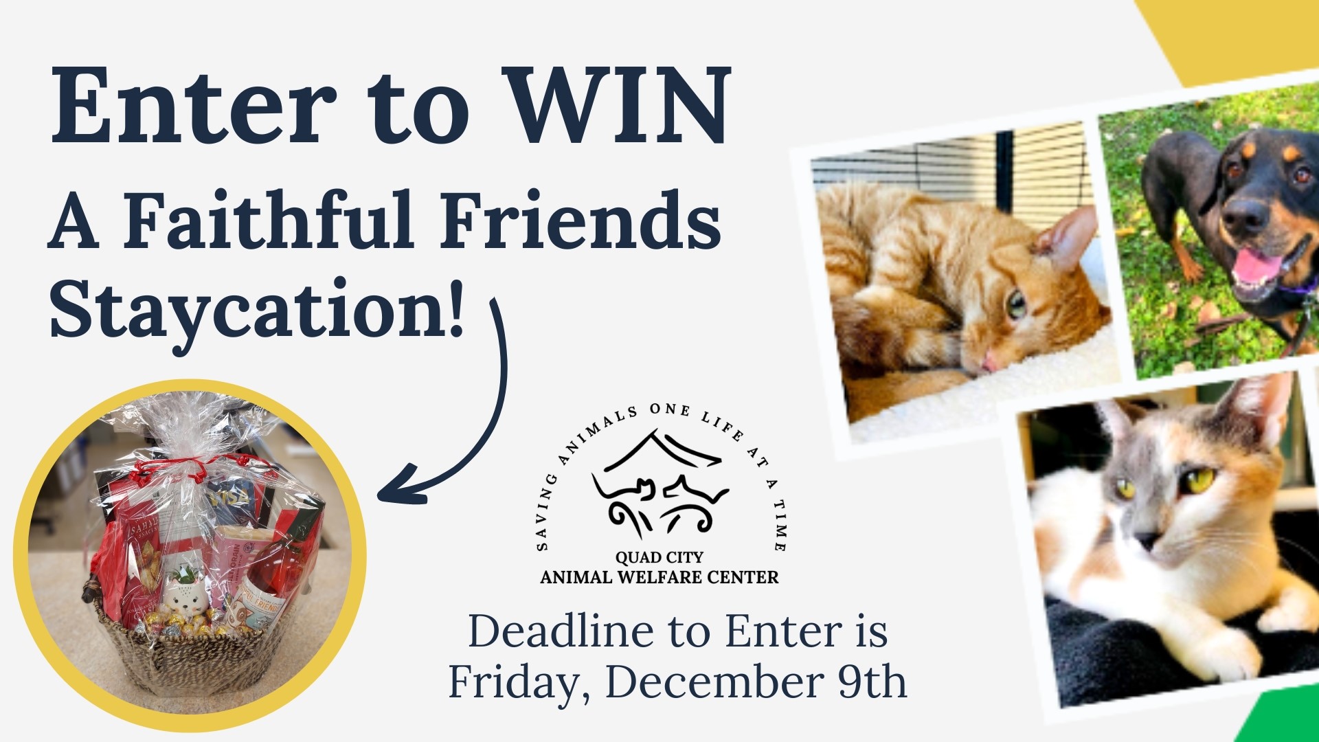 Quad City Animal Welfare Center Staycation Contest Official Rules 
