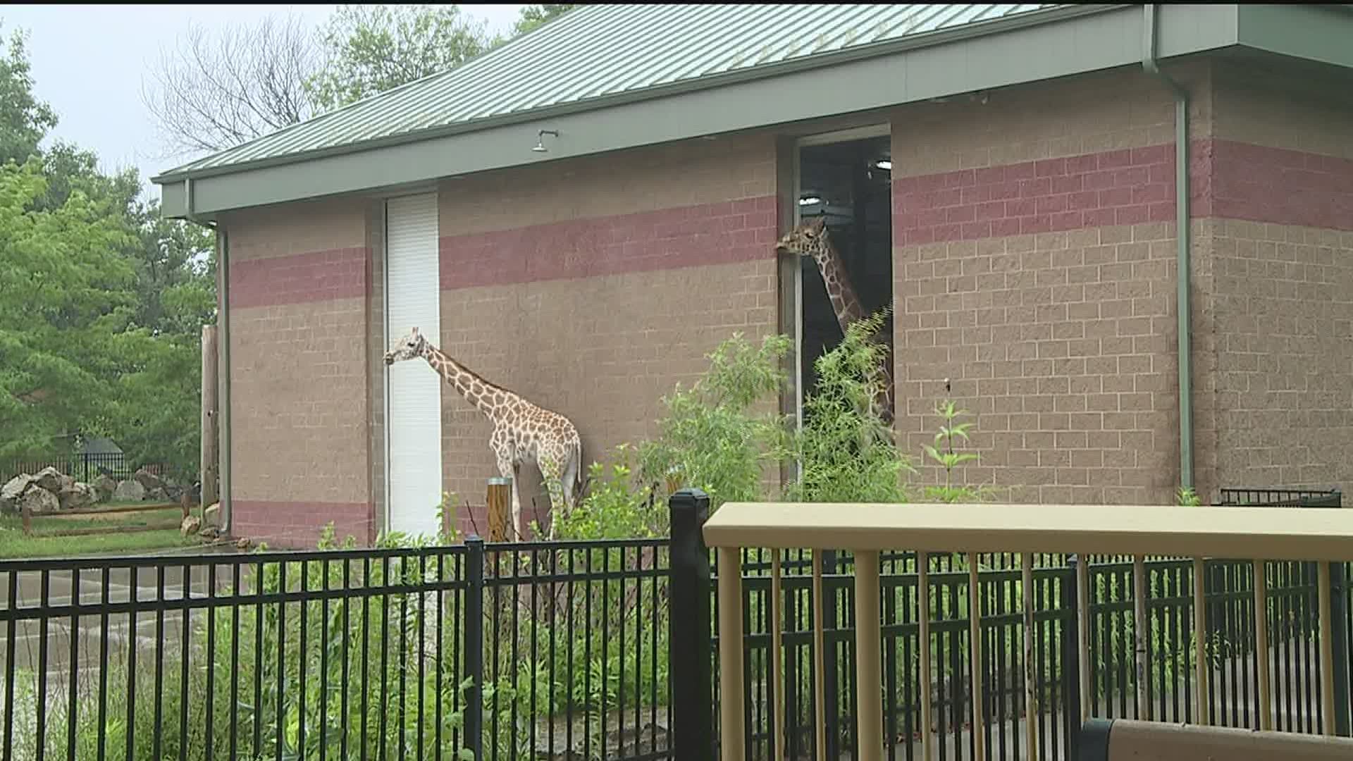 Niabi Zoo Receives Accreditation