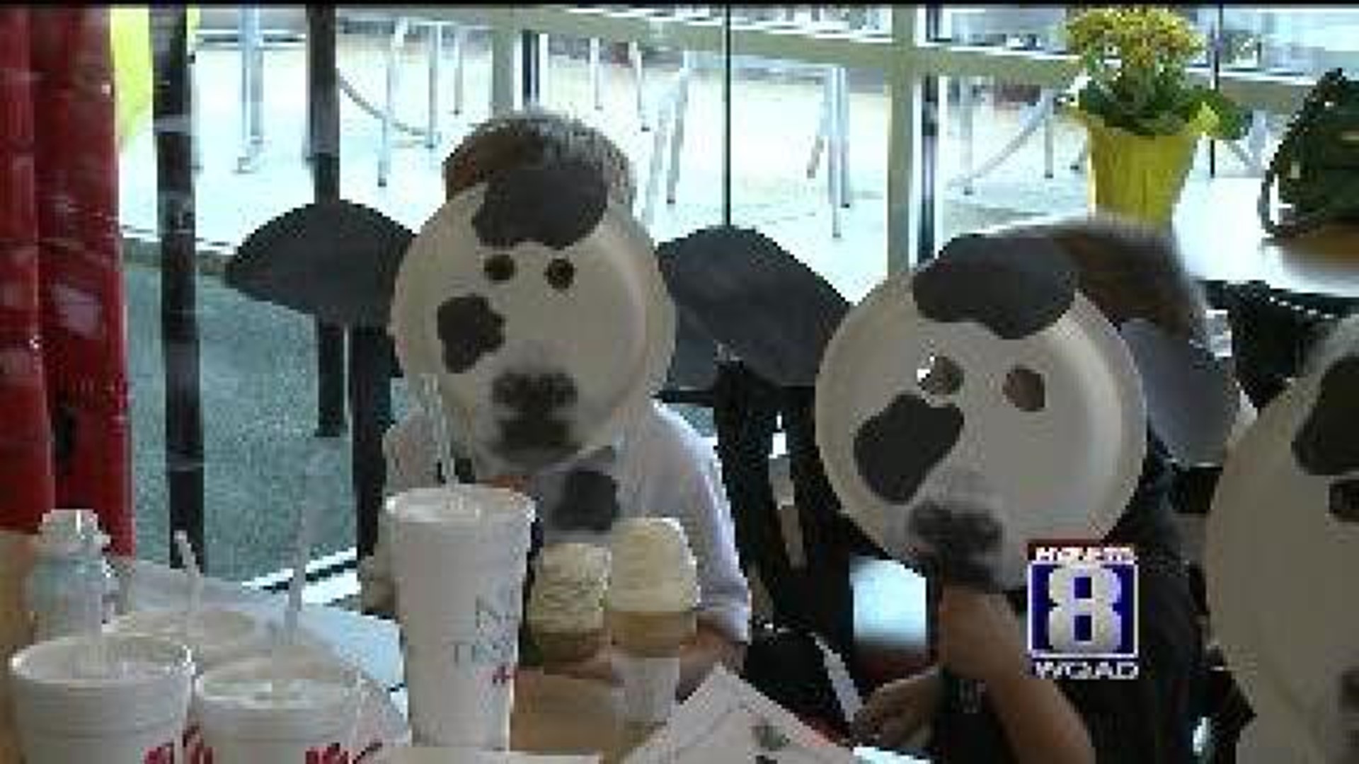 Cow costumes for free food