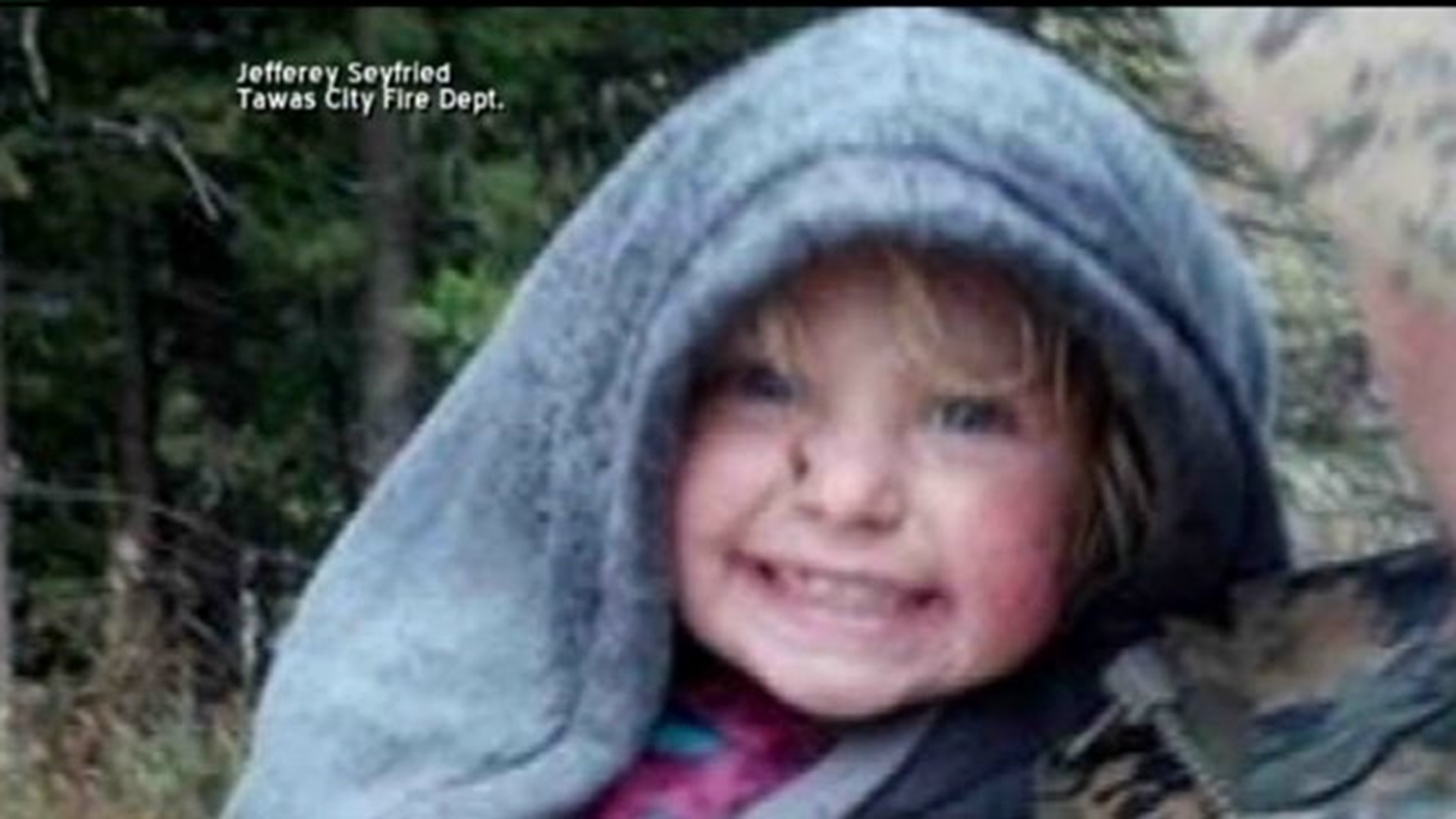 Toddler found after spending a day alone in the woods