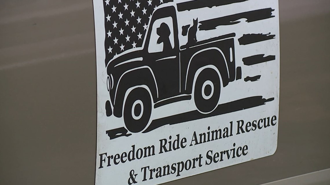 Check out how a Monmouth duo is saving animals - Vimarsana News