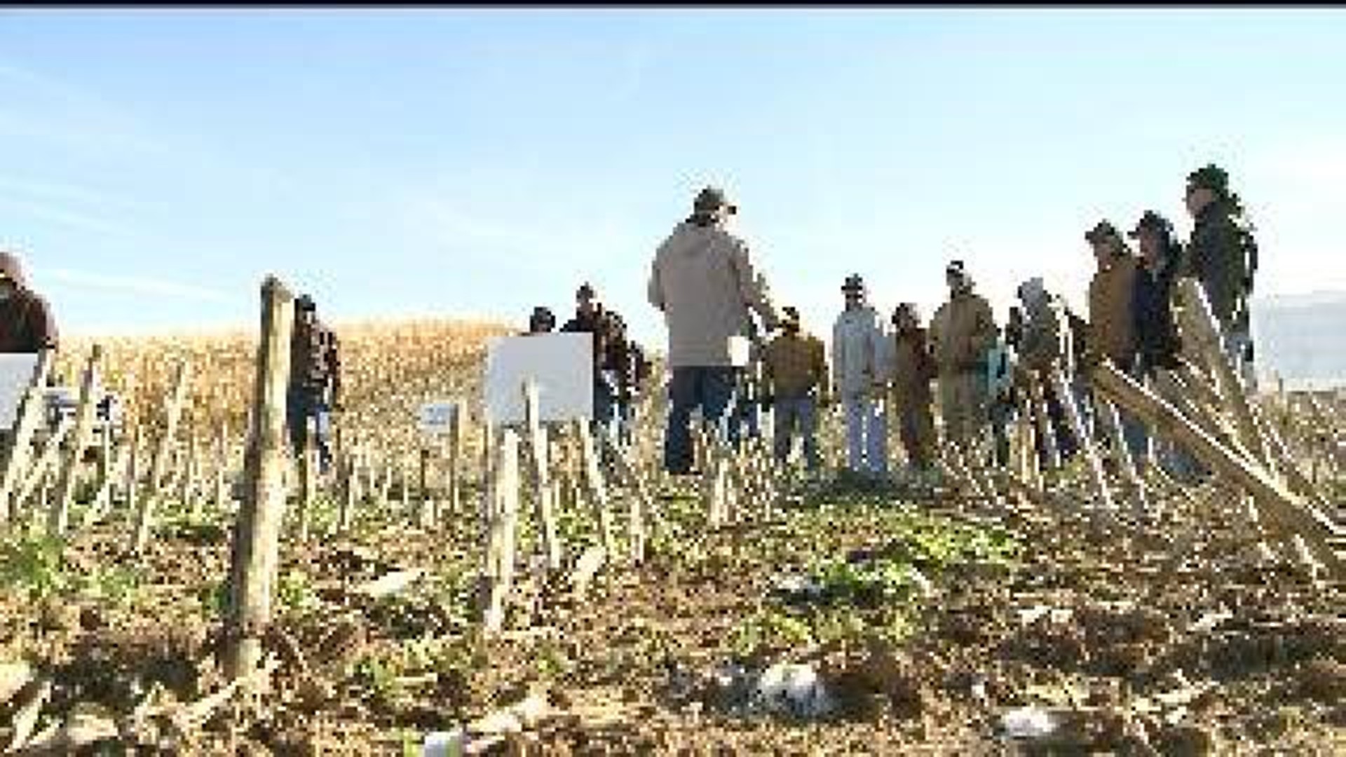 Farmers fight soil erosion with cover crops