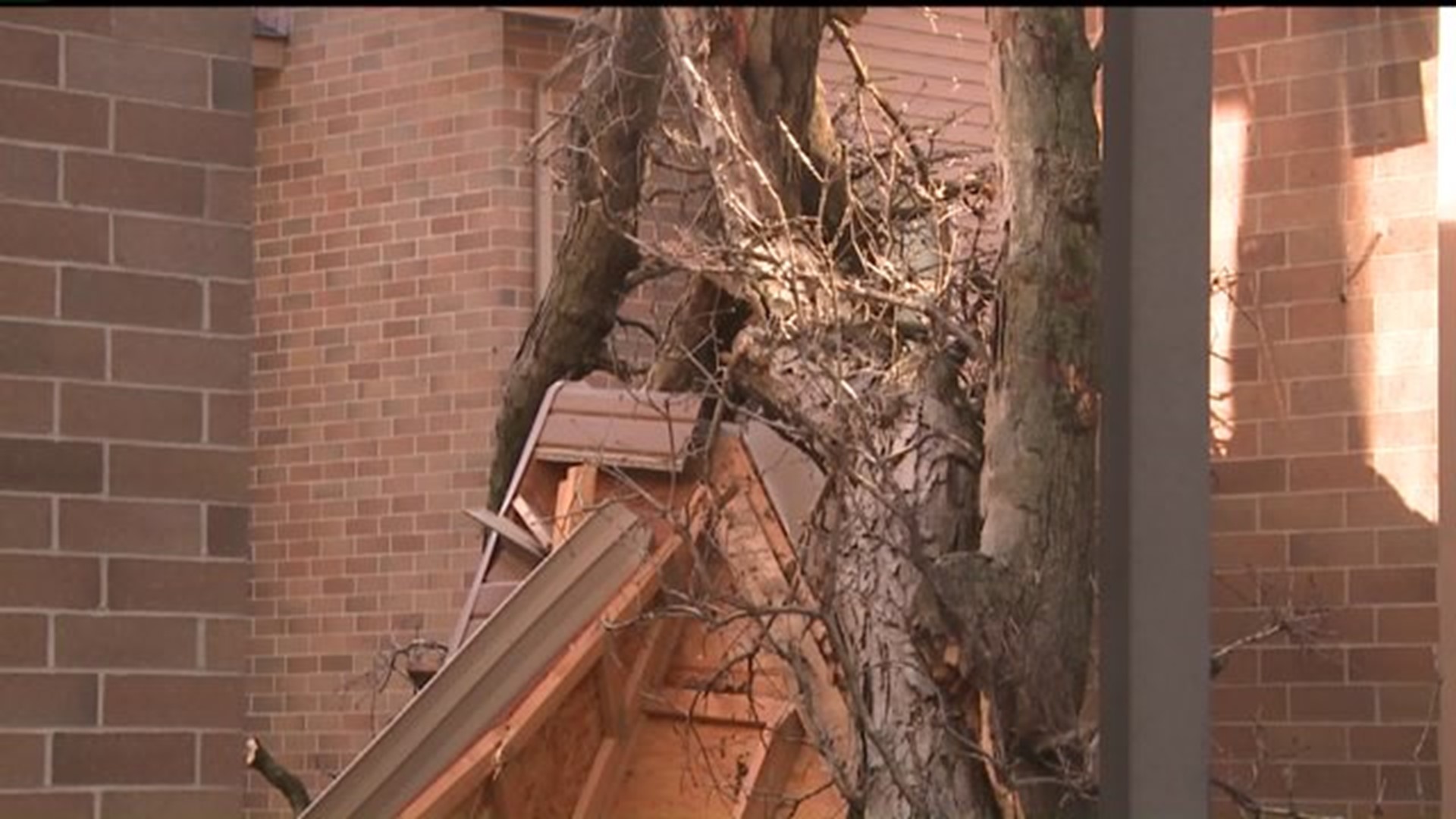 Augie students safe after tree falls on home