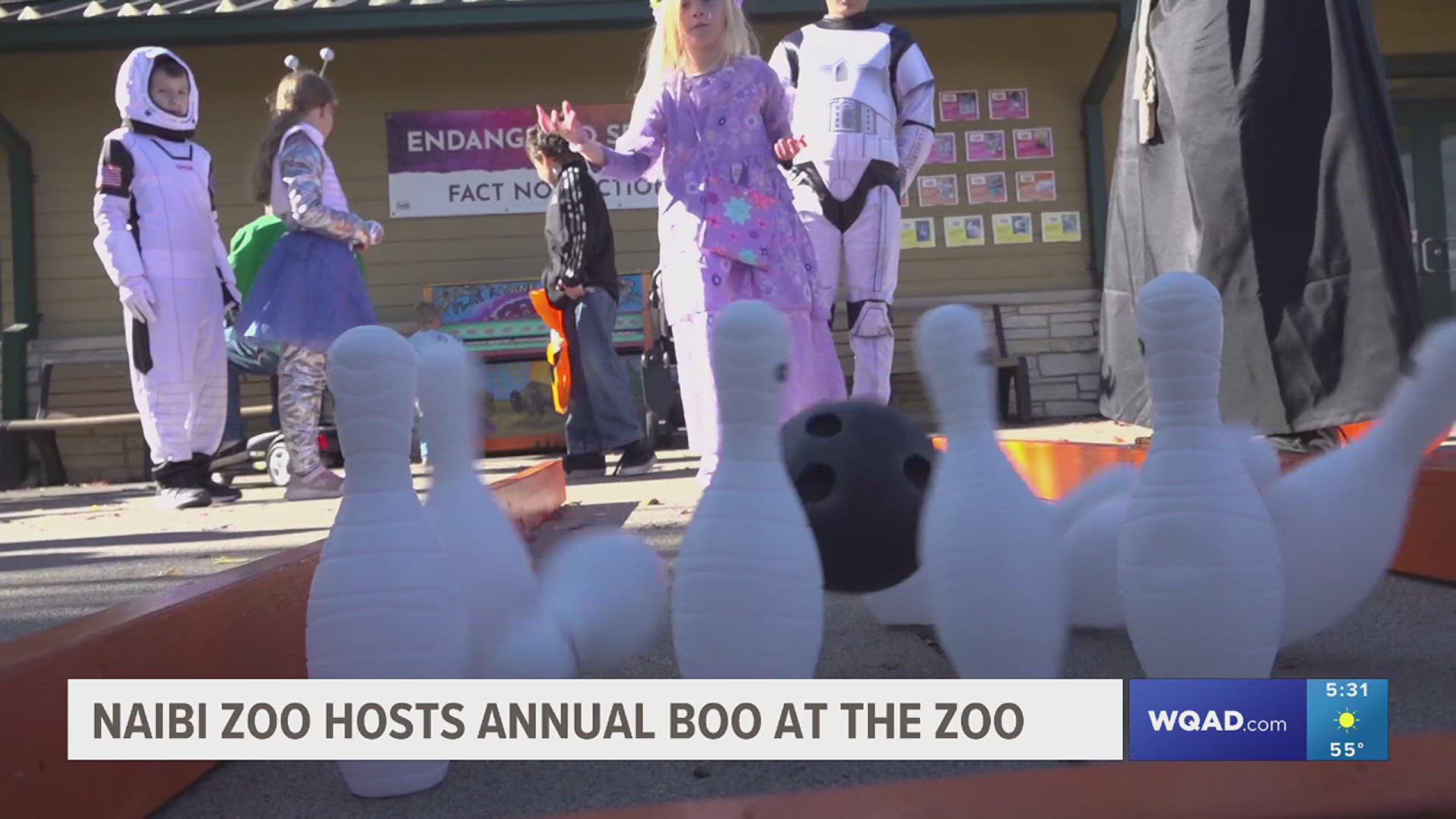 Families enjoyed the zoo animals, playing games, and taking a ride on the train.