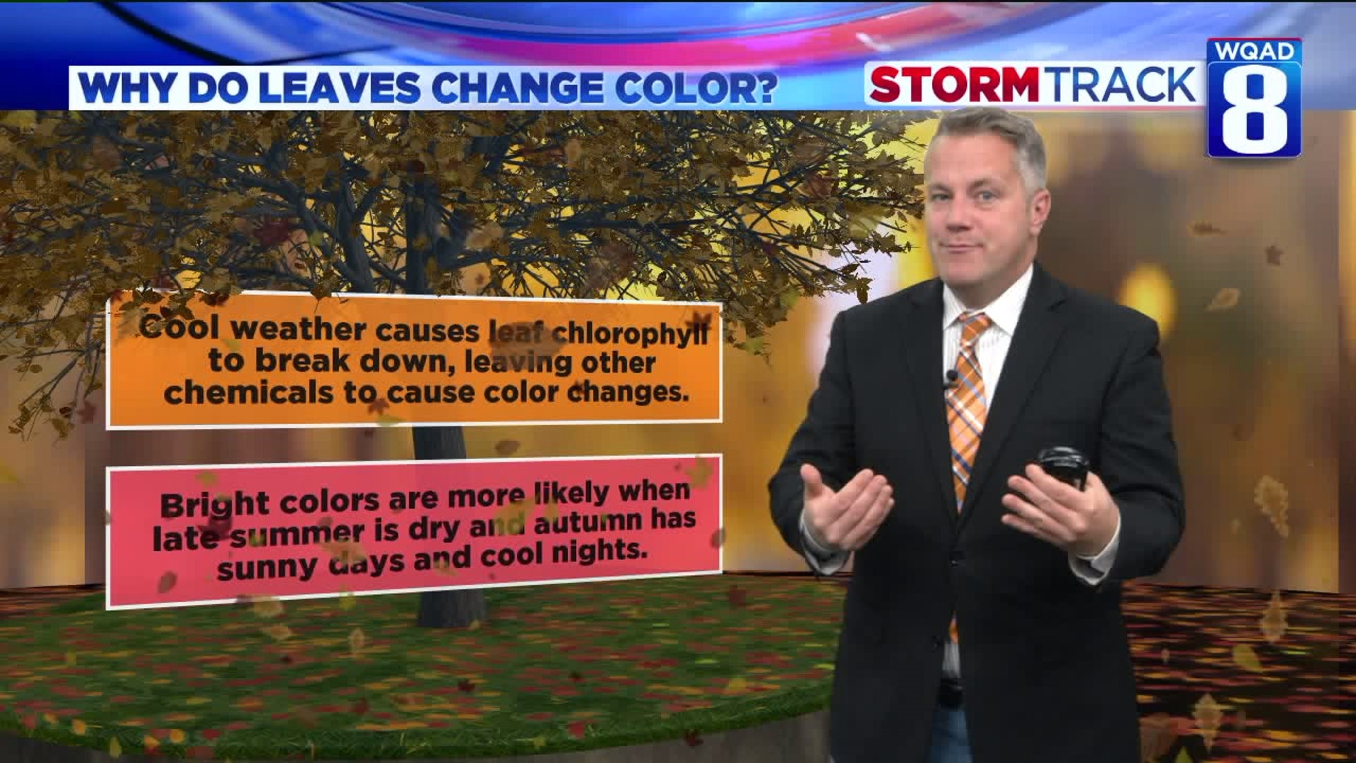 Eric says these cold mornings are good for vivid fall color