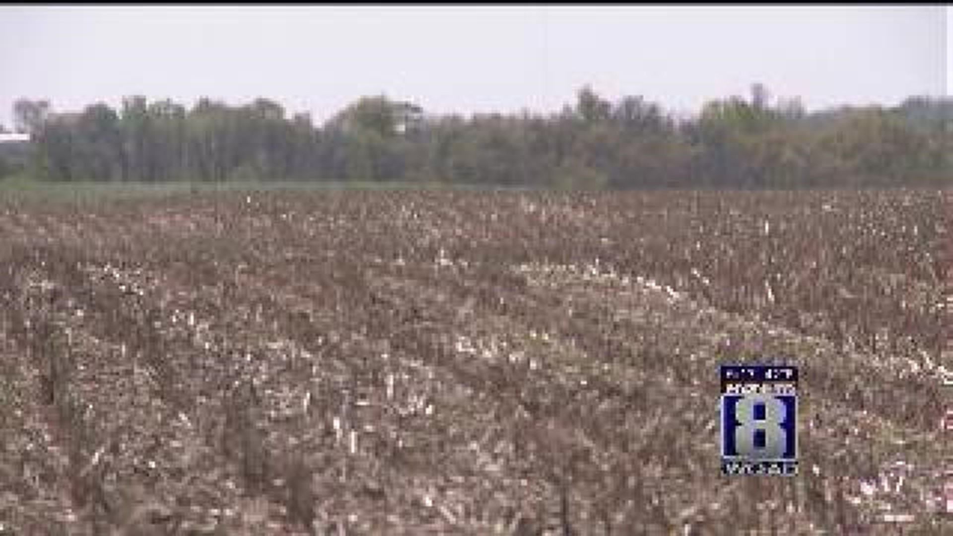 Ag in the AM: Cold Soil Delays Plantings